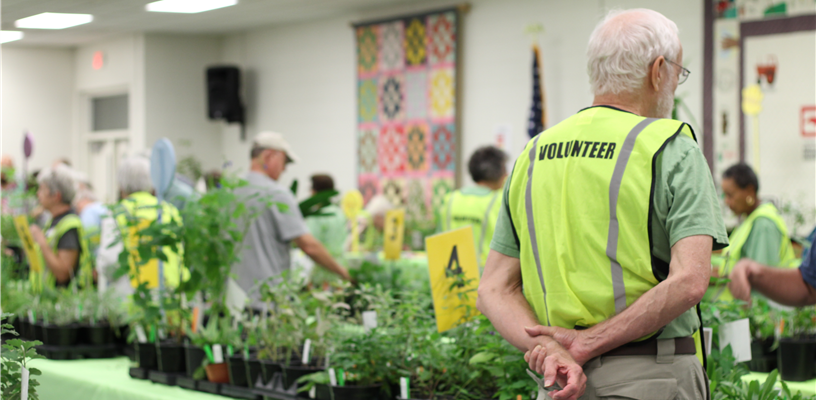 Announcing the Fall 2025 Plant Sale at Extension