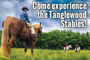 Come experience the Tanglewood stables!